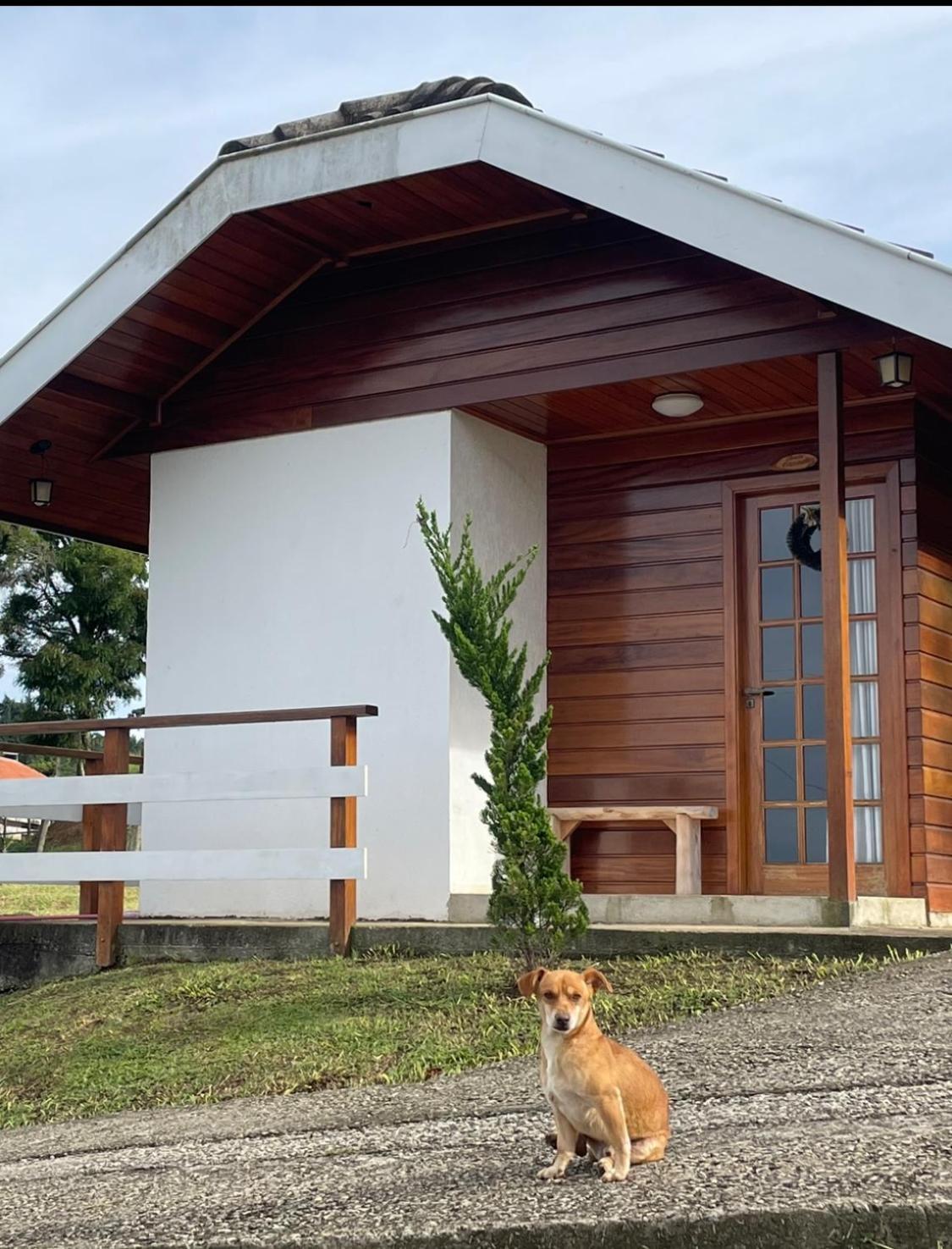 Hotel Chale Amanhecer Santo Antônio do Pinhal Zewnętrze zdjęcie
