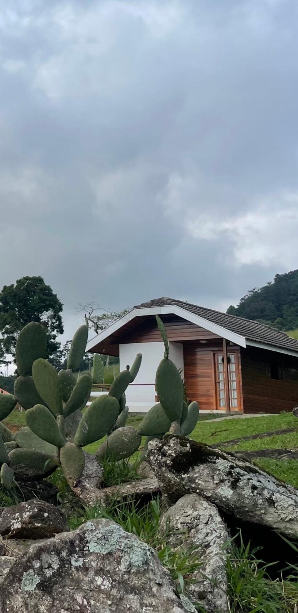 Hotel Chale Amanhecer Santo Antônio do Pinhal Zewnętrze zdjęcie